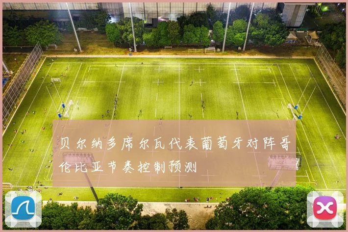 贝尔纳多席尔瓦代表葡萄牙对阵哥伦比亚节奏控制预测