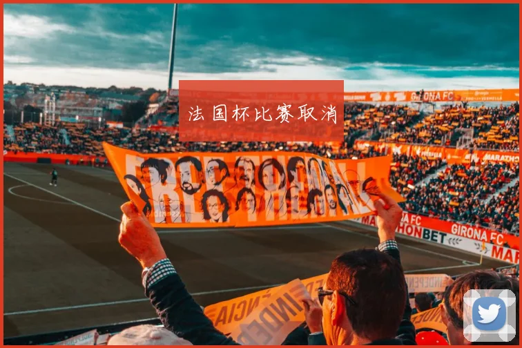 法国杯比赛取消