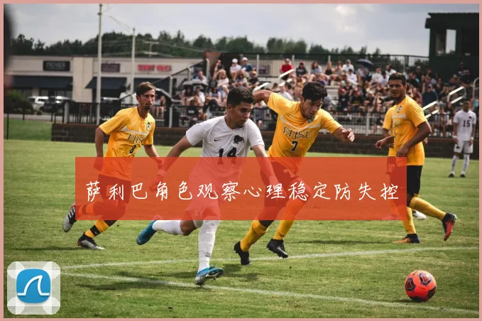 萨利巴角色观察心理稳定防失控